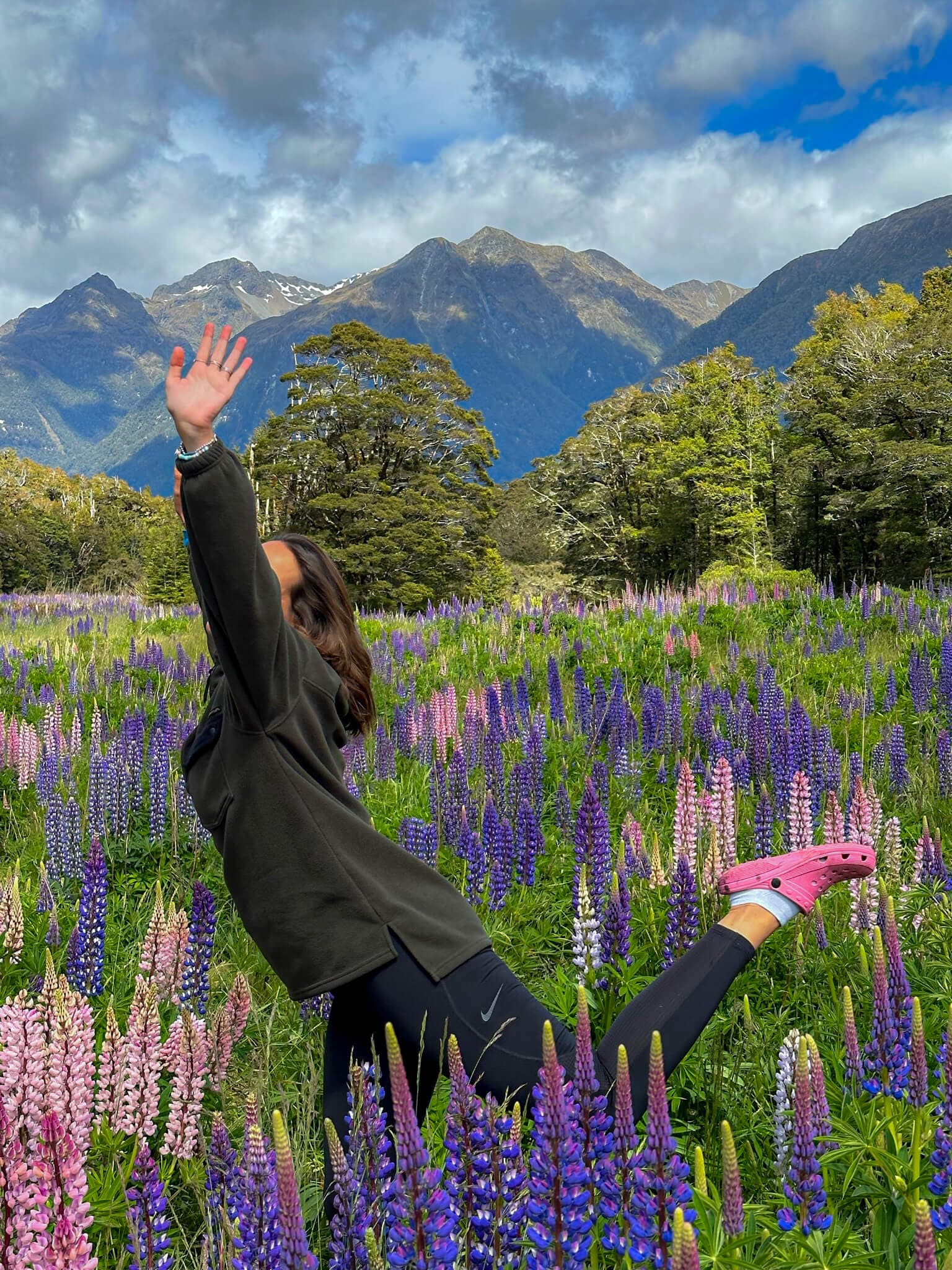 Champ de lupins en Nouvelle-Zélande