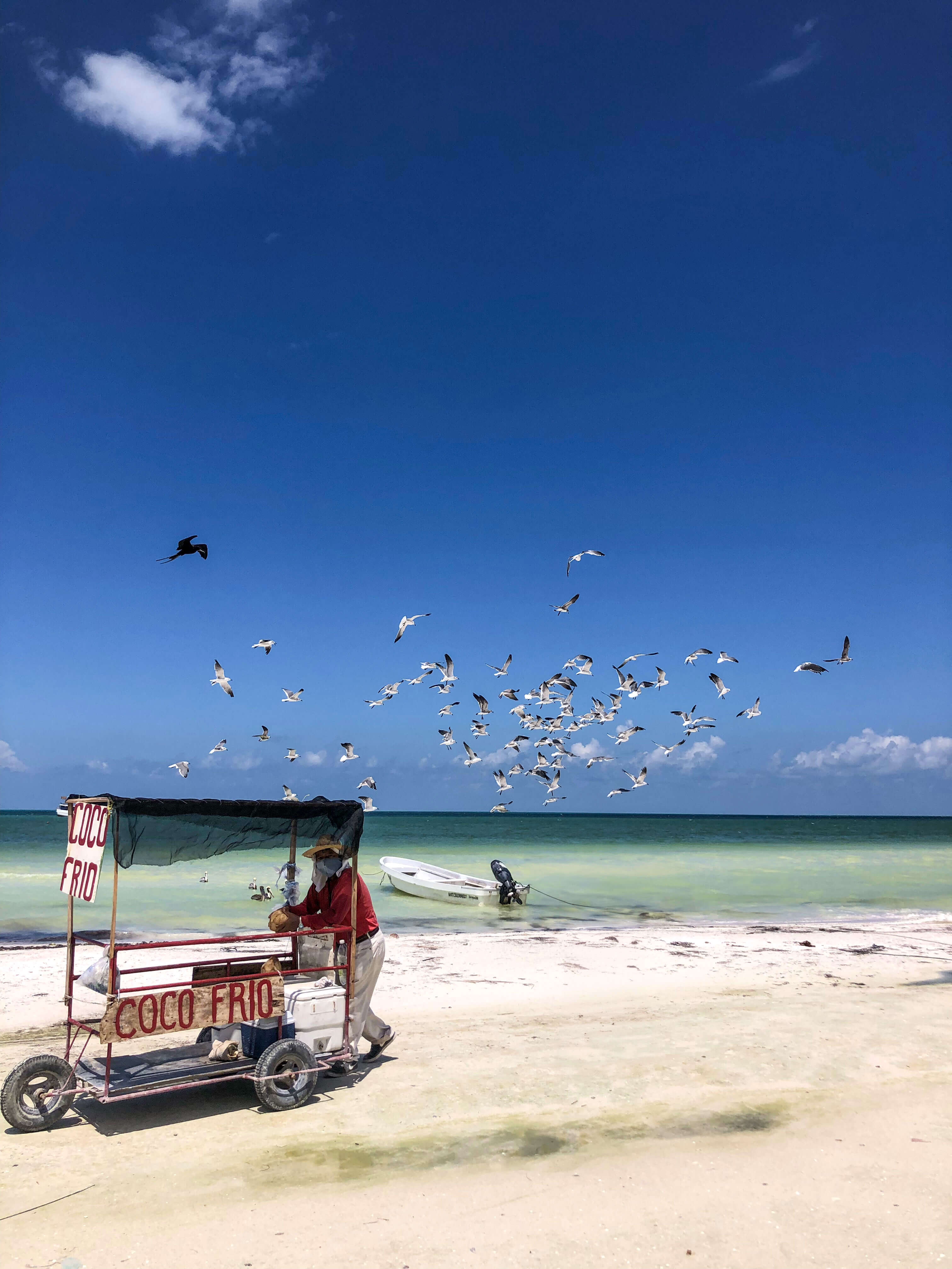 Plage paradisiaque au Mexique avec vendeur de coco